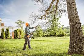  Brookville, NY Tree Services Pros