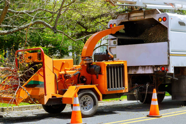 Best Grass Overseeding  in Brookville, NY